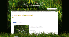 Desktop Screenshot of carapaprocera.com